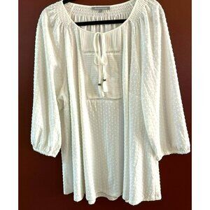 Daniel Rainn Women's Plus Size Swiss Dot Scoop Neck Blouse Size 3X Pullover 3/4